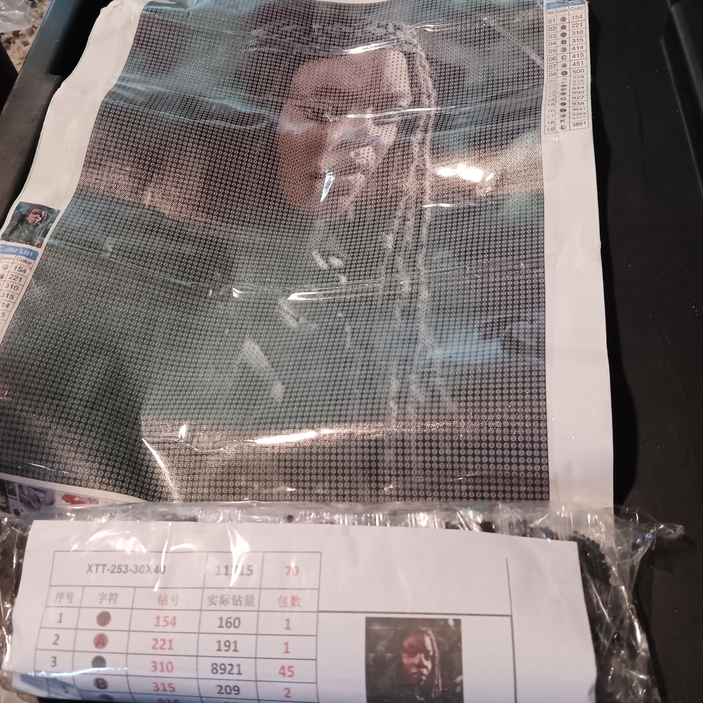 The Walking Dead Michonne Diamond Art Painting Kit